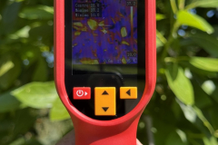 WhatsApp-Image-2026-02-05-at-23.05.54